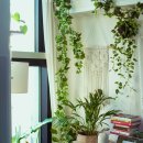 주식회사 바른건설 이미지