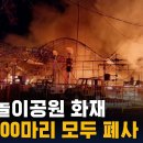 구미 놀이공원 화재…동물 100마리 모두 폐사 / SBS 이미지