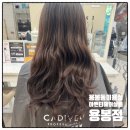 아벤티헤어살롱용봉점 네이버블로그