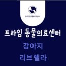 프라임 동물의료센터 이미지