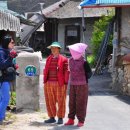 섬마을농원 이미지