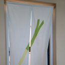 일광파전 이미지