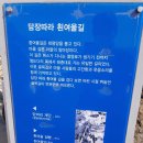뚜벅이 부부의 3박4일 부산여행(하) - 흰여울문화마을과 태종대, 해운대, 그리고 다대포 해변까지