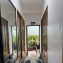 청송횟집 | 전남 장흥 하모 된장물회:) 청송횟집