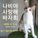 나비야 네이버블로그