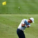 타이거골프클럽 이미지