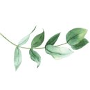 뉴로영진한의원 이미지