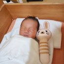 뇌하수체종양 진단 후 자연임신,자연분만,모유수유 성공기 (모유수유 18개월째 진행 중)