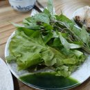 김뽀티식당