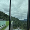 제천 리솜 포레스트 S30 빌라클린 1박2일 숙박 후기 (카트예약 / 어메니티 / 산책로)