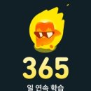 [리뷰] 슈퍼 <듀오링고> 업데이트 후기, 일본어, 스페인어, 포루투갈어, 중국어 가능, 수학, 음악 공부...