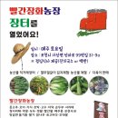 장화농장 이미지