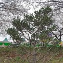 한정리파크골프장 이미지