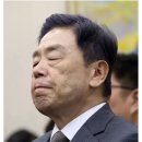 독립-19-01 이미지