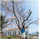 신흥교회 앞 이미지