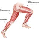 니드짐 구파발점 이미지