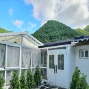강남펜션 | [영월] 영월펜션 스테이산골강남 다녀온 후기