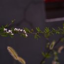 개간지천 이미지