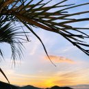 더베이1804-1풀빌라펜션 이미지