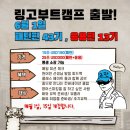 [링고메이트 1기] 링고부트캠프 패턴편 후기!