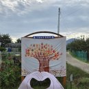 꼬망세어린이집 이미지