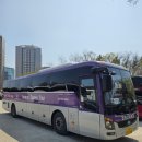 삼정고속관광 이미지