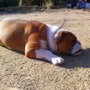 구름정원펜션 이미지