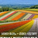 흰그림자투어