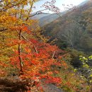 관문삼거리~형제카센터 | 2023-10-26 지리산천왕봉 산행 (중산리-거림 응용코스:영신봉 탐방) -천왕봉에서 본 날개구름
