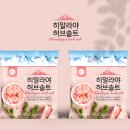 디자인솔트 티스토리