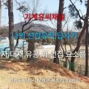 나의 선현유적 답사기(대재 산림학자 유공 휘 언집 묘소 소개) 이미지