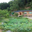 연정황토펜션 이미지