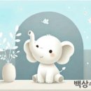 백상영수학원