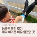 일도목장 | 용인 농도원 목장 체험 후기 │ 예약 방법·취소표 팁·도시락 준비까지 총정리