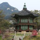 향정원 이미지
