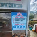 지우네 농장 | 평창 분위기 좋은 애견동반식당 평창한우마을 면온점 휘닉스파크 맛집