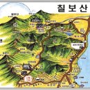 칠보산숲길 | 푸른 동해와 초록 숲이 맞닿은 곳… 영덕 칠보산 자연휴양림 힐링 등산 여행