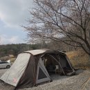 기산사 | 파주 기산캠프 파주벚꽃캠핑 봄 감성 캠핑 솔직후기