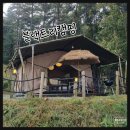 인천 영흥도여행 숲속 글램핑 블랙트리캠핑 113호 이용후기
