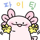 스토리터치
