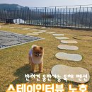 스테이인터뷰 노호 이미지