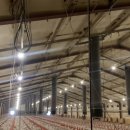 황현국축사 이미지