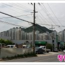 일송 공인중개사사무소 이미지