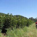 송학농원 이미지