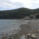 여수연안여객선터미널 이미지