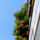 수월초등학교 이미지