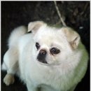 수월산방 이미지