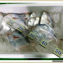 영강슈퍼 이미지