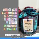 명품합기도 이미지