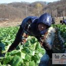 창경농장 이미지